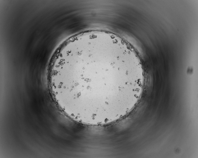 X0000103901068200810311404