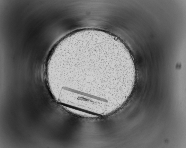 X0000103901069200810311404