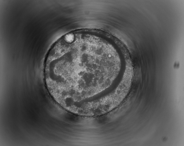 X0000103901071200810311404