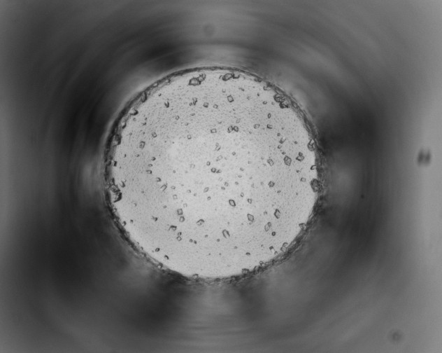 X0000103901072200810311404