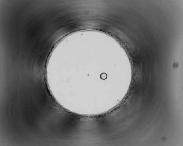 X0000103901073200810311404