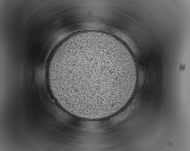 X0000103901074200810311404