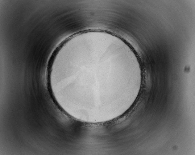 X0000103901076200810311404