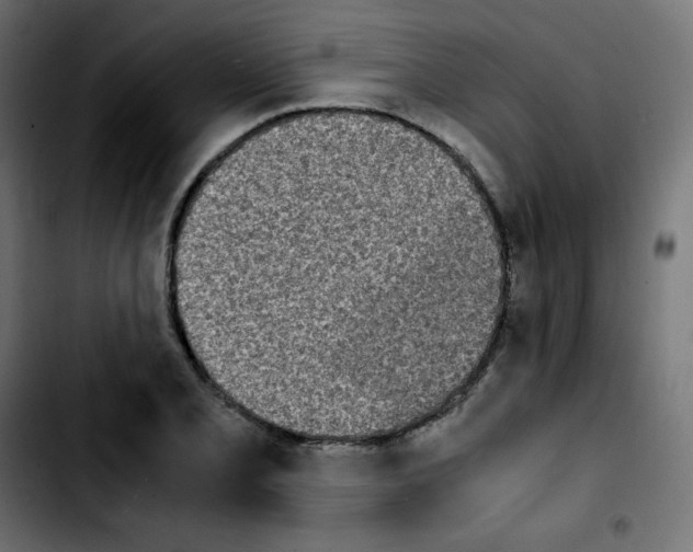 X0000103901077200810311404