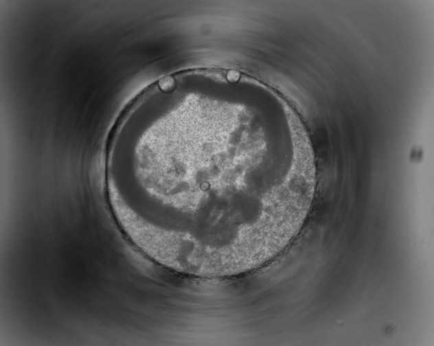 X0000103901079200810311404