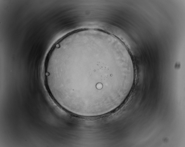 X0000103901080200810311404