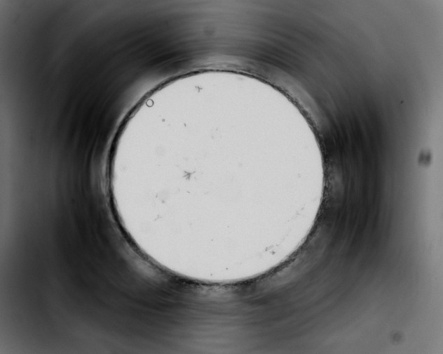 X0000103901082200810311404