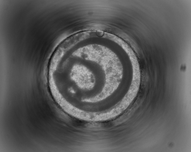 X0000103901083200810311404