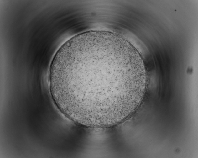 X0000103901084200810311404