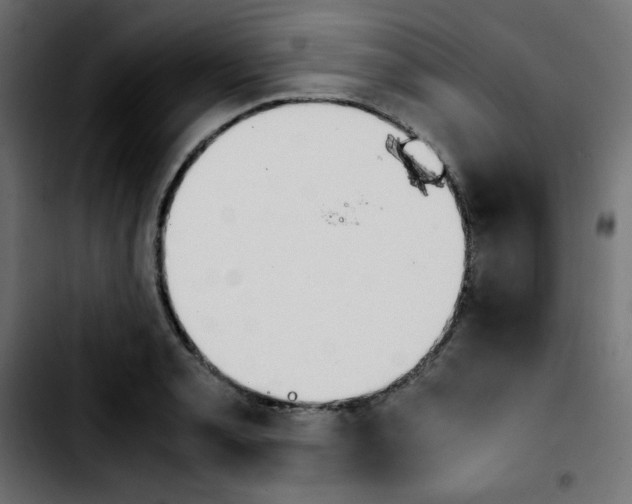 X0000103901085200810311404