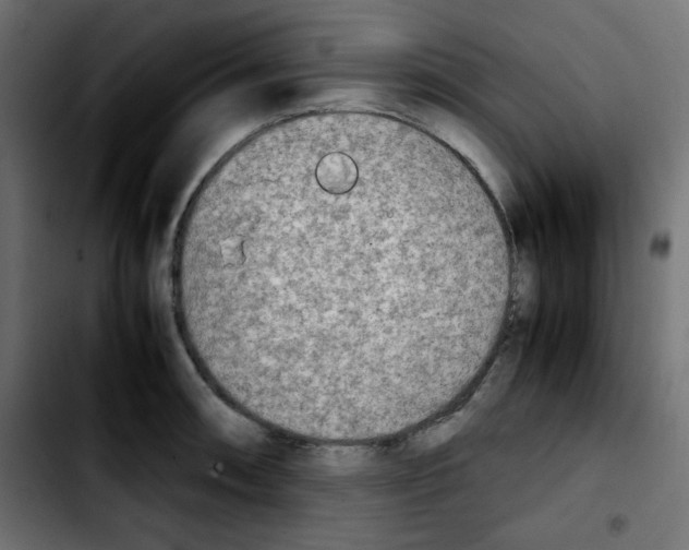 X0000103901090200810311404