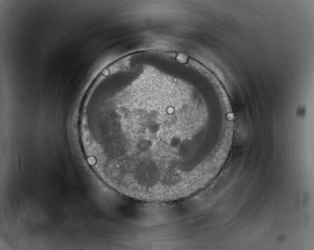 X0000103901091200810311404