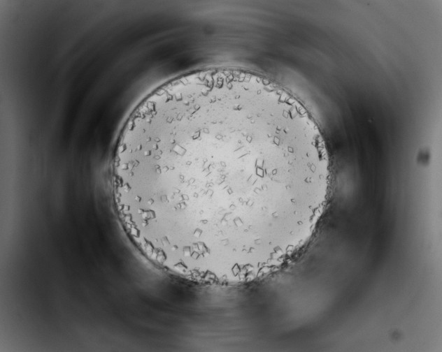 X0000103901092200810311404