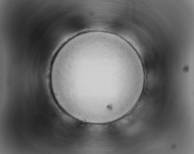 X0000103901093200810311404