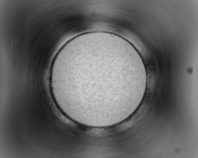 X0000103901094200810311404