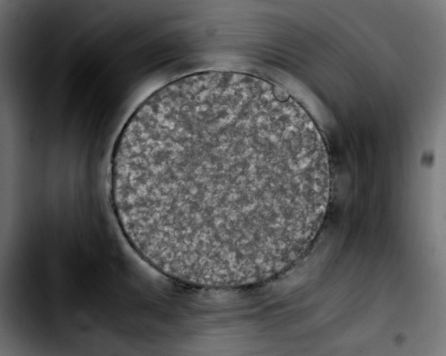 X0000103901095200810311404