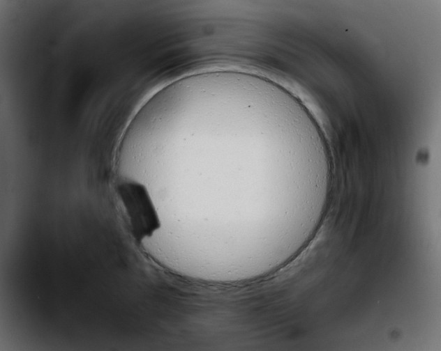 X0000103901097200810311404