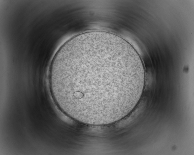 X0000103901098200810311404