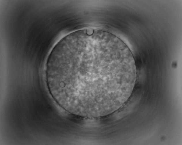 X0000103901099200810311404