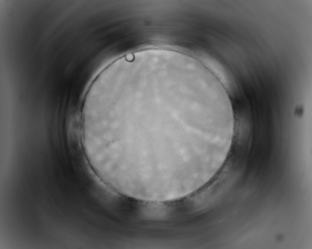 X0000103901100200810311404