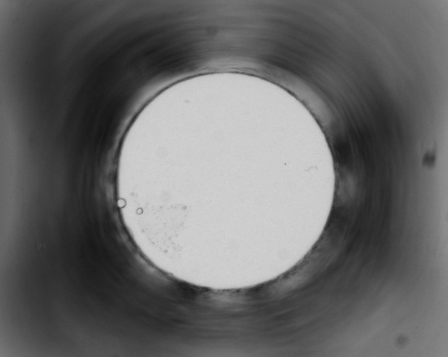 X0000103901102200810311404