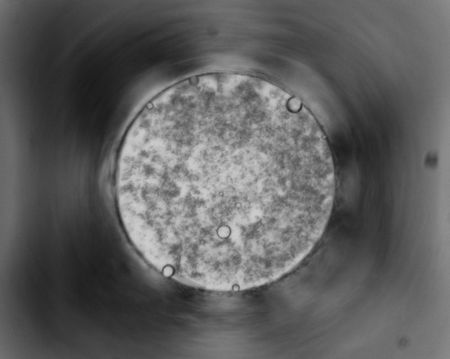 X0000103901103200810311404