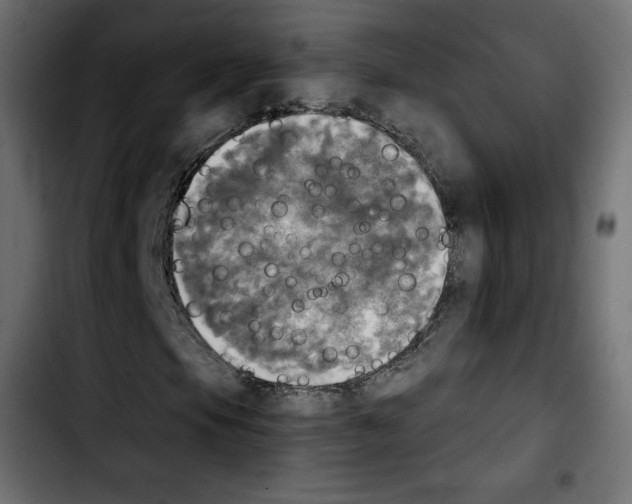 X0000103901105200810311403