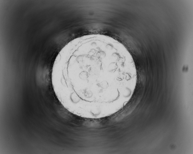 X0000103901106200810311403