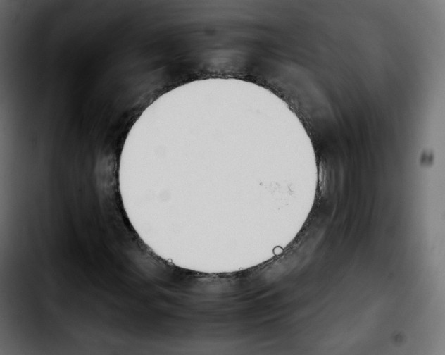 X0000103901107200810311403