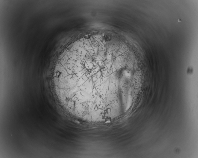 X0000103901108200810311403