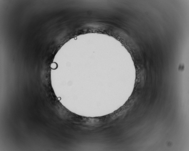 X0000103901109200810311403