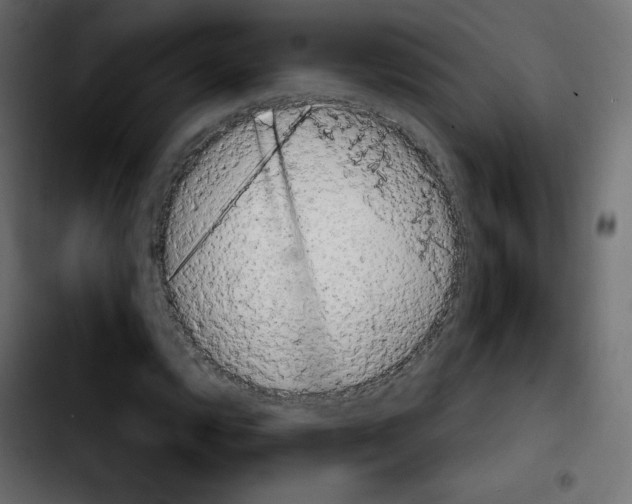 X0000103901112200810311403