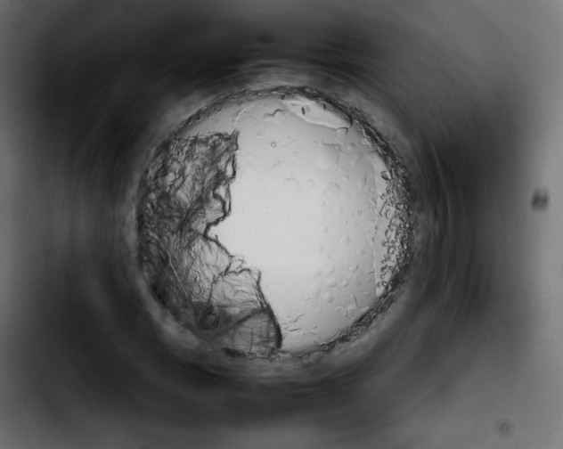 X0000103901113200810311403