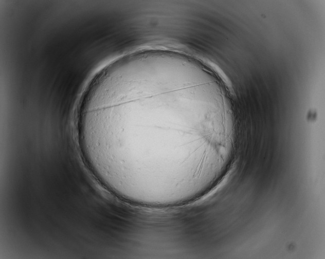 X0000103901114200810311403