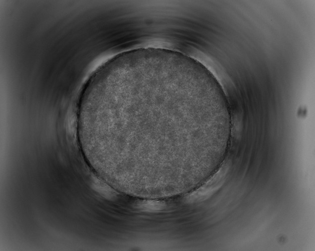 X0000103901115200810311403