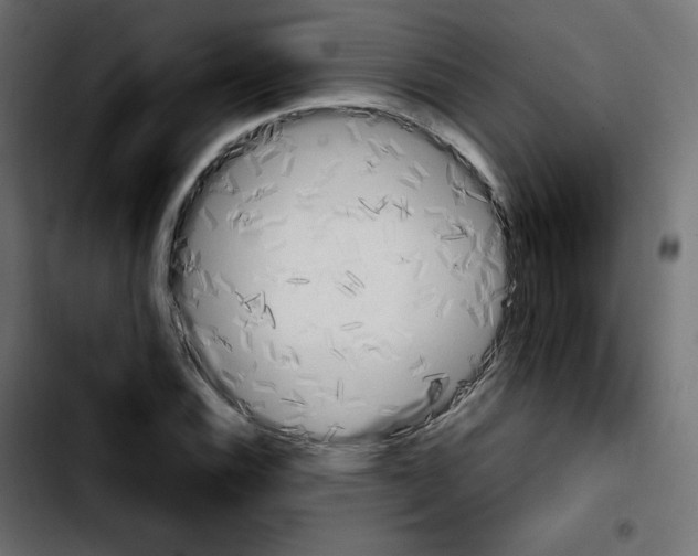 X0000103901116200810311403