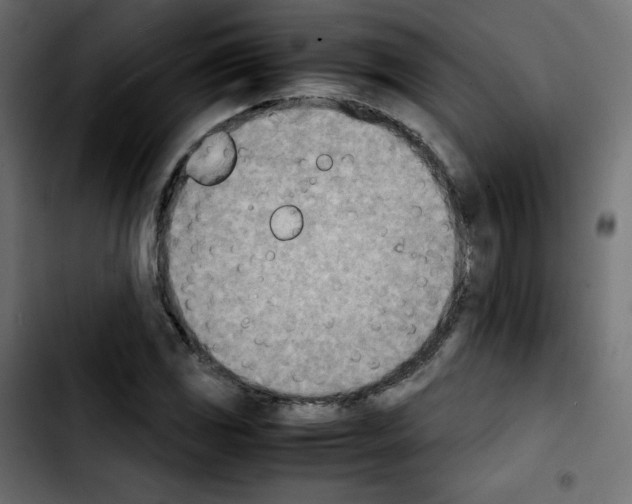 X0000103901117200810311403