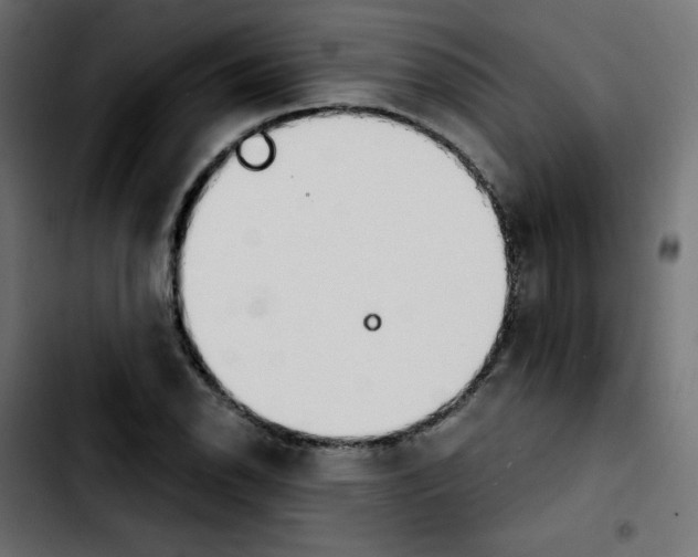 X0000103901118200810311403