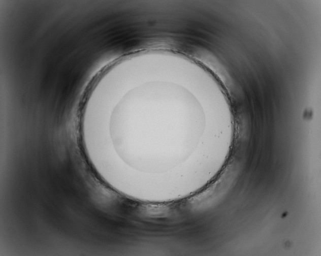 X0000103901119200810311403