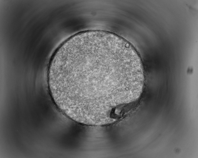 X0000103901120200810311403