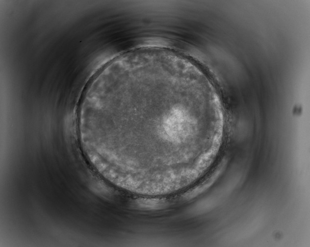 X0000103901121200810311403