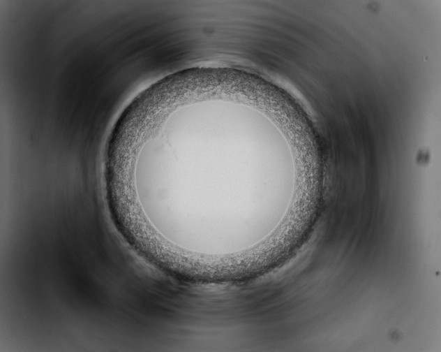 X0000103901122200810311403