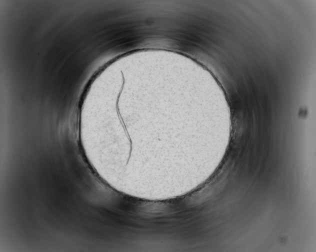 X0000103901123200810311403