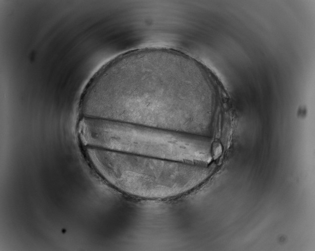 X0000103901124200810311403