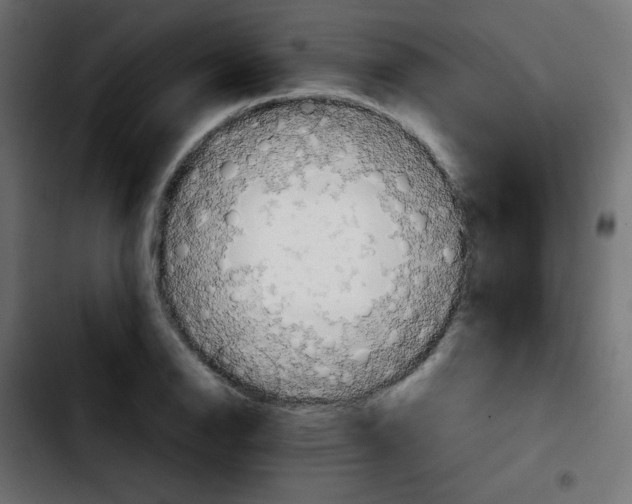 X0000103901126200810311403