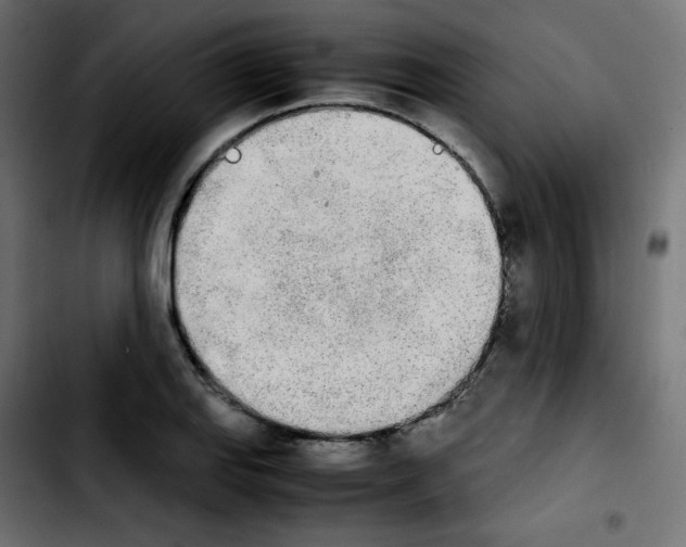 X0000103901127200810311403