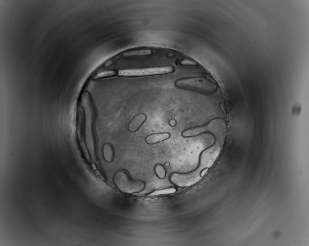 X0000103901128200810311403