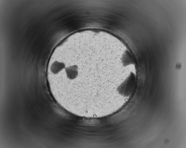 X0000103901129200810311403