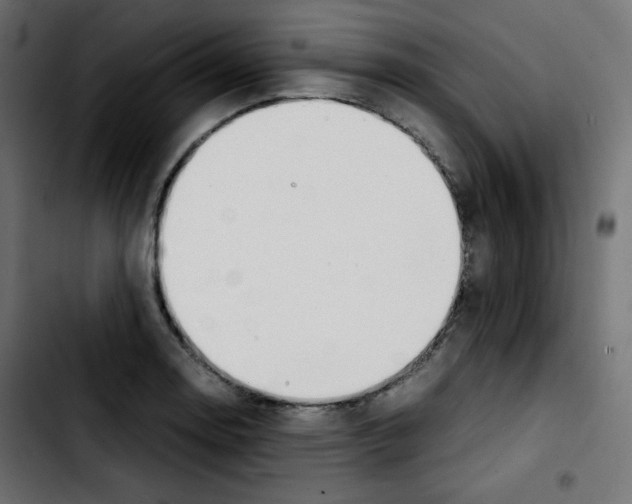 X0000103901130200810311403