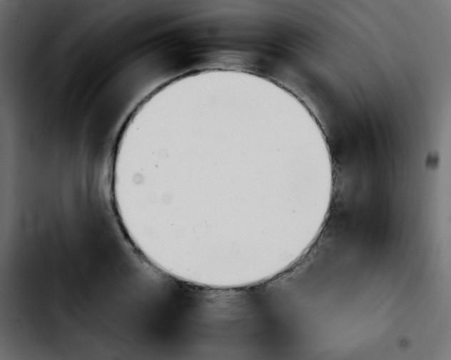 X0000103901131200810311403